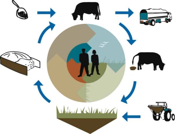 Infographic kringlooplandbouw