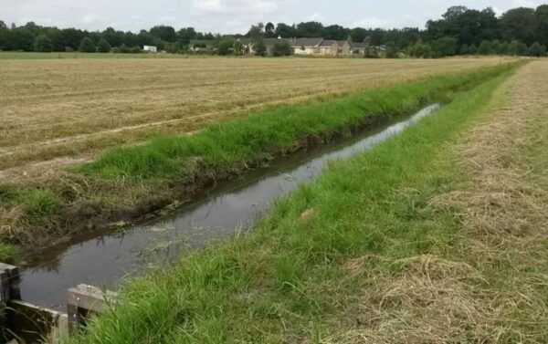 Weiland met sloot in het midden