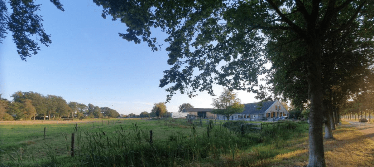 Groen weiland met bomen en boerderij