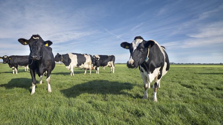 Vraag Subsidie Aan Voor Fysieke Investering In Innovatie En Moderne ...