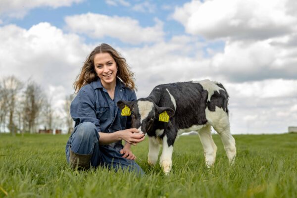 Vrouw knielt bij kalfje in een weiland