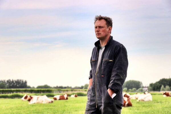 Boer staat in weiland met koeien